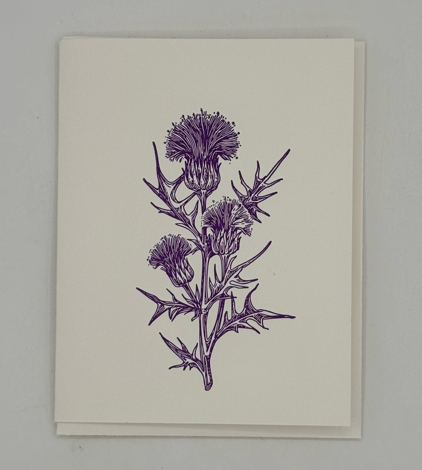 Single Purple Thistle Card