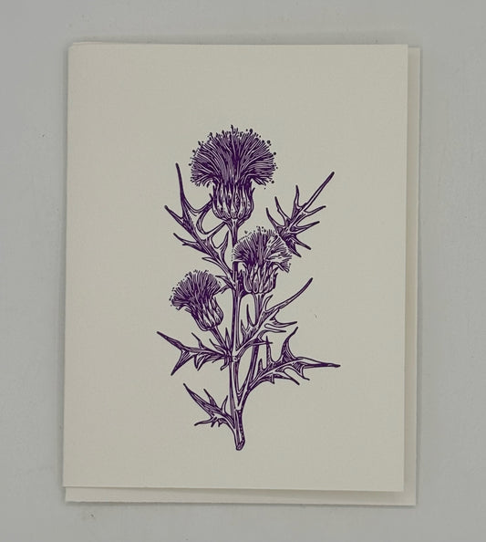 Single Purple Thistle Card