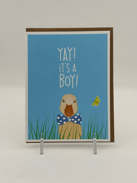 Boy Baby Duckling Card