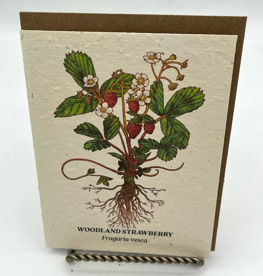 Strawberry Plantable Wildflower Seed Card