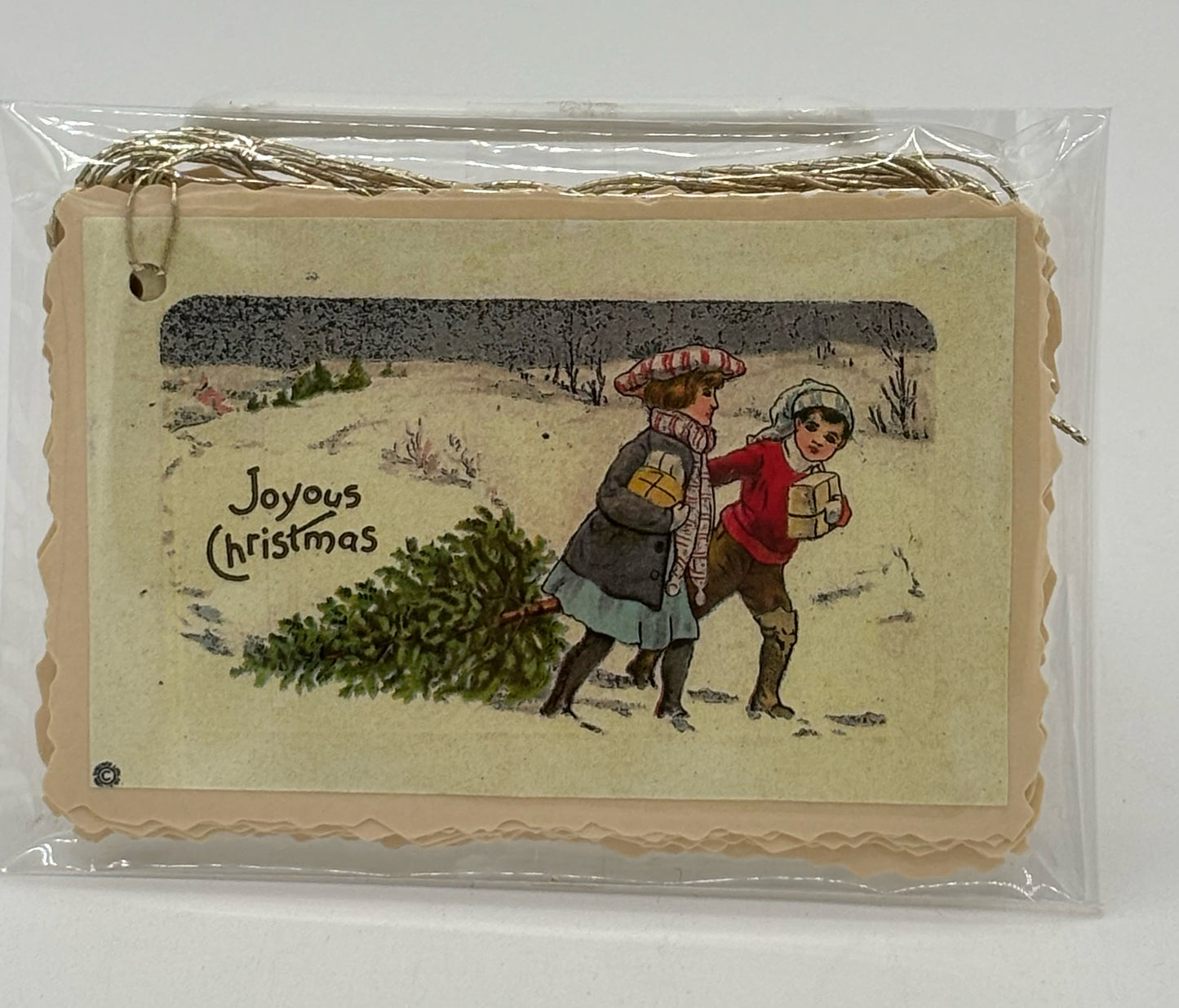 Kids Haul Tree 10-Pack Christmas Tags