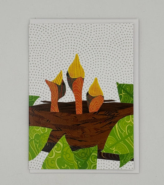 Baby Robins Card