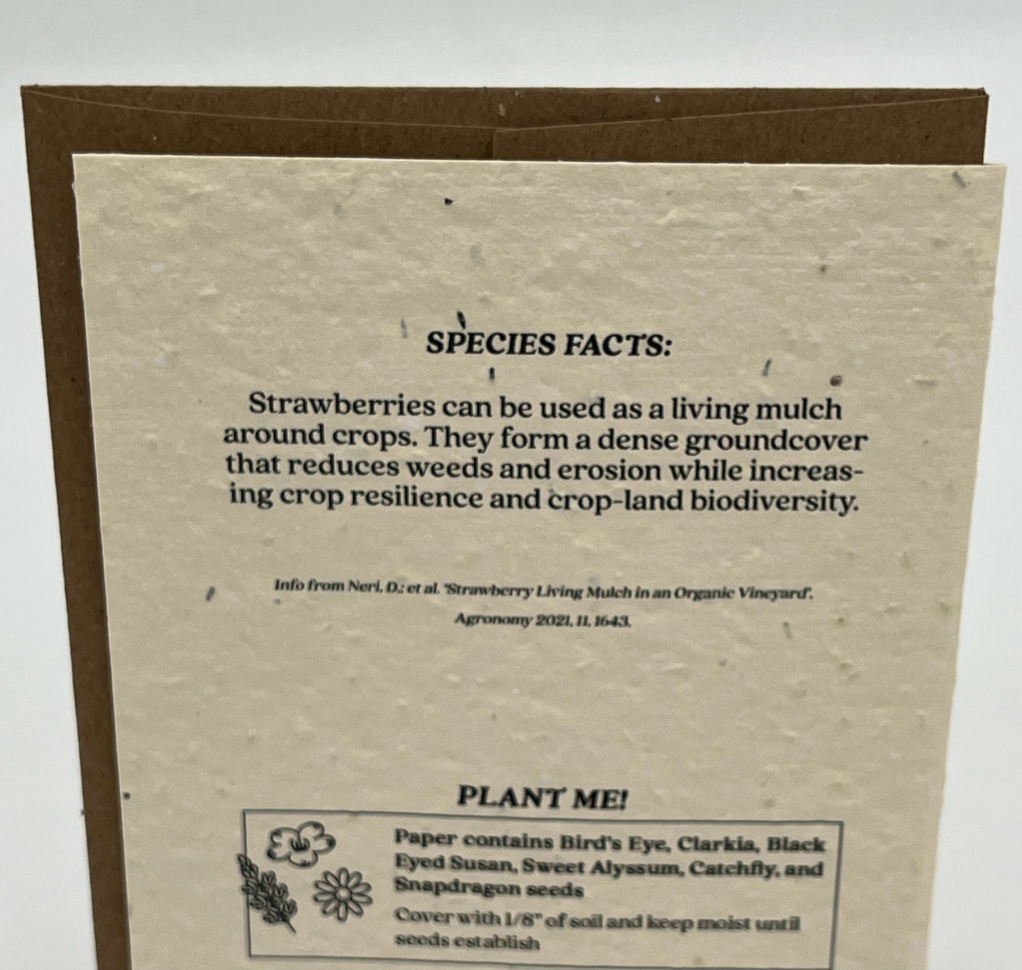 Strawberry Plantable Wildflower Seed Card