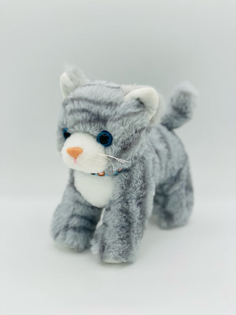Grey Kitten