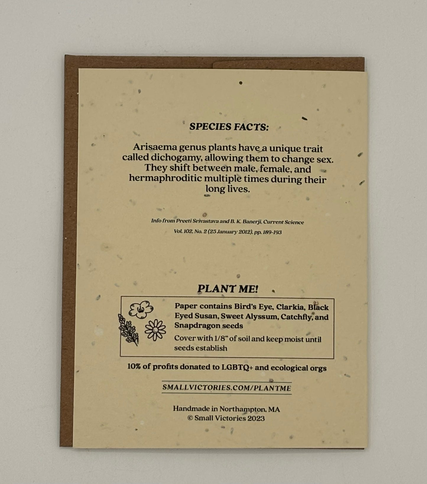 Jack-In-The_Pulpit & Green Dragon Plantable Wildflower Card