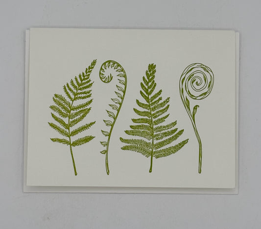 4 Ferns Cards