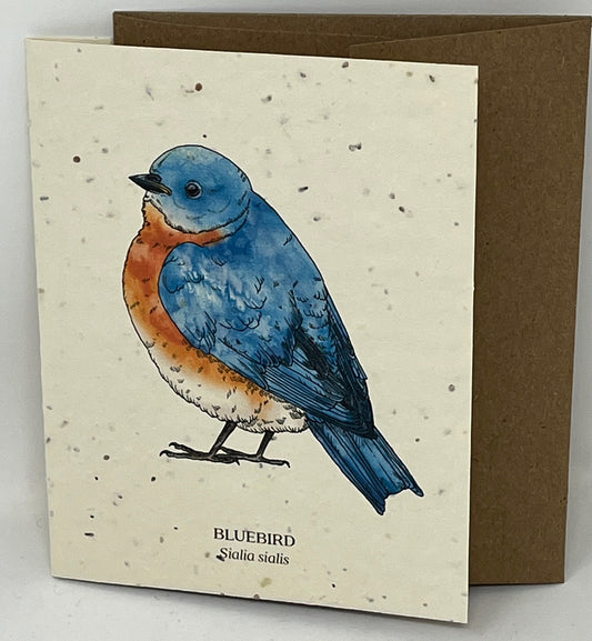 Bluebird Plantable Wildflower Seed Card