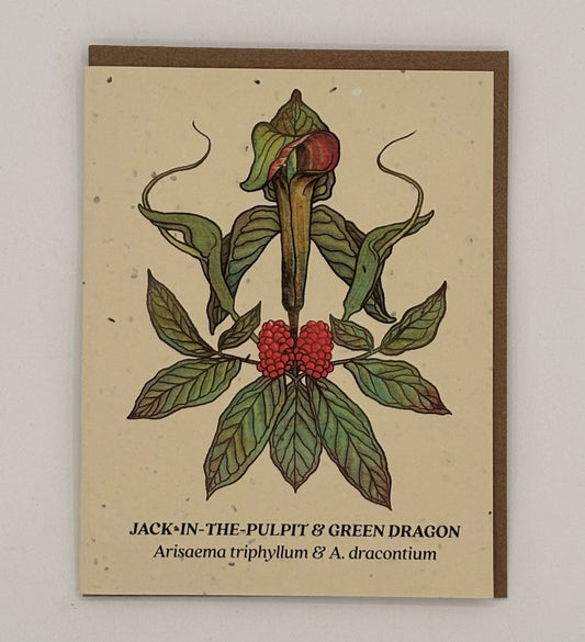 Jack-In-The_Pulpit & Green Dragon Plantable Wildflower Card