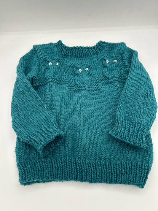 Owl pullover sweater teal green size 3-4 years