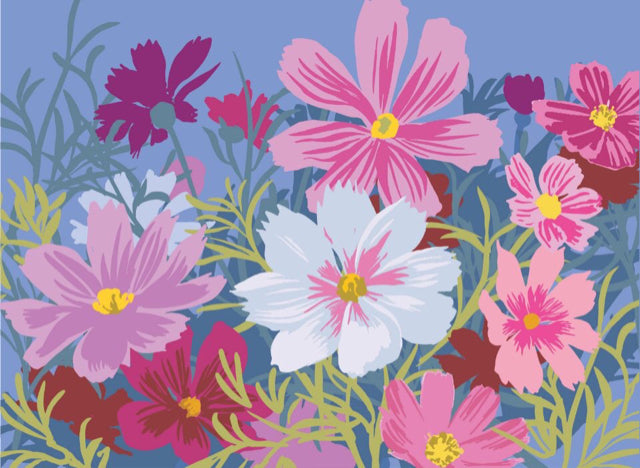 Cosmos Boxed Note Cards