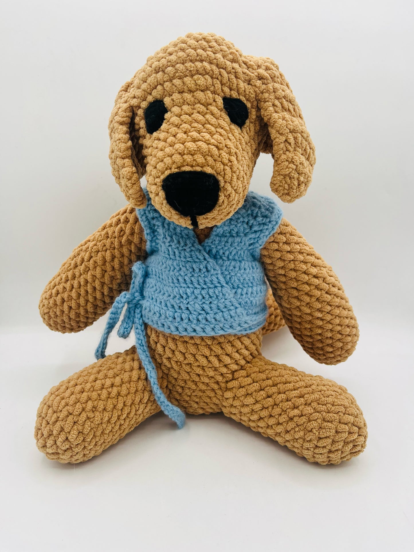 Light Brown Dog with Blue Vest