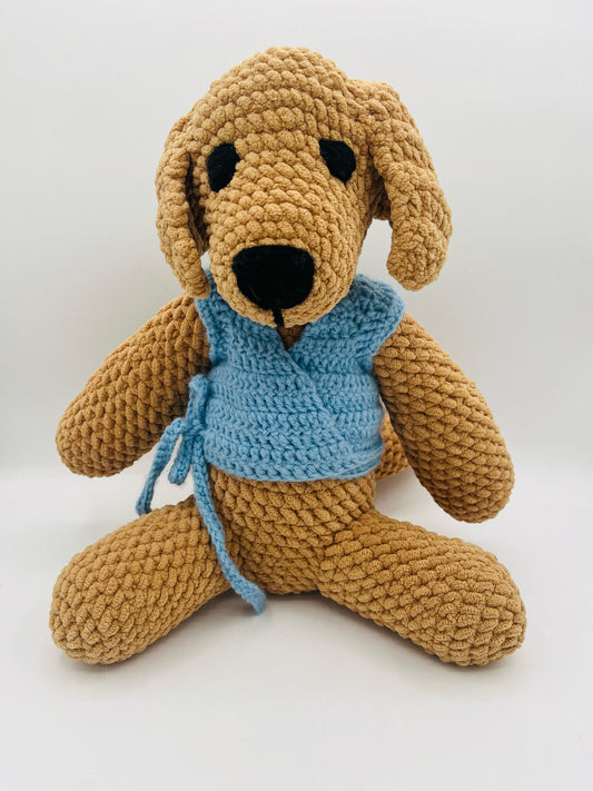 Light Brown Dog with Blue Vest