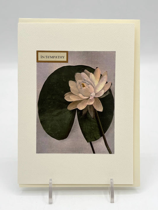 Waterlily Sympathy Card