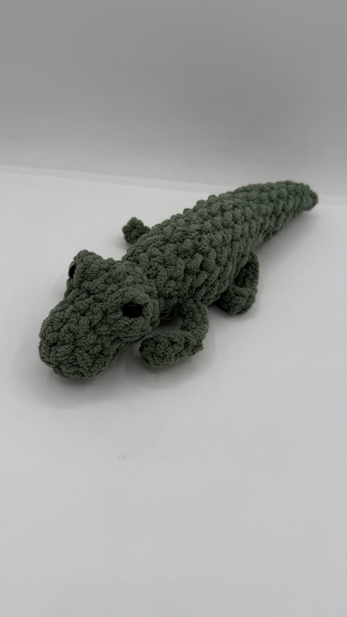 Alligator