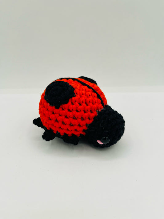 Ladybug