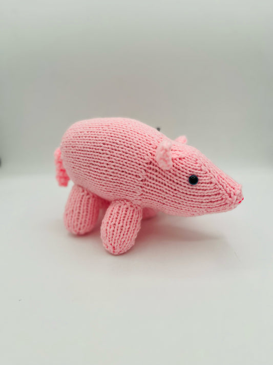 Piggy