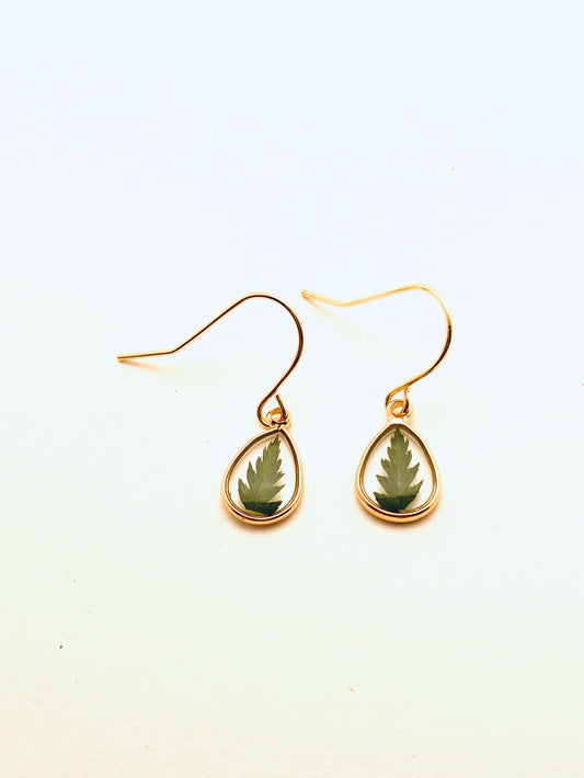 Dried Pressed Flower Earrings, Oval, Green Leaves