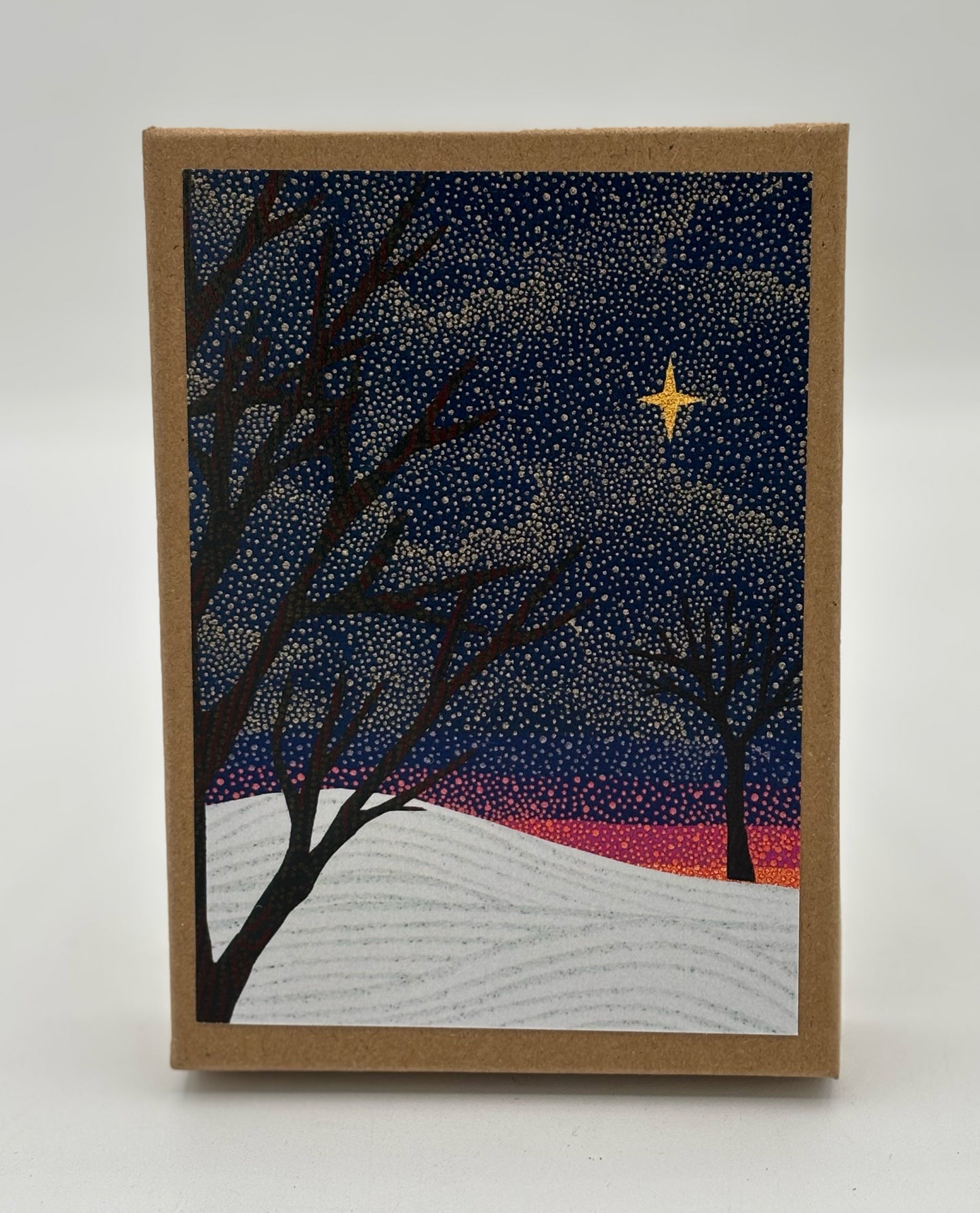 10 North Star Boxed Cards and Envelopes