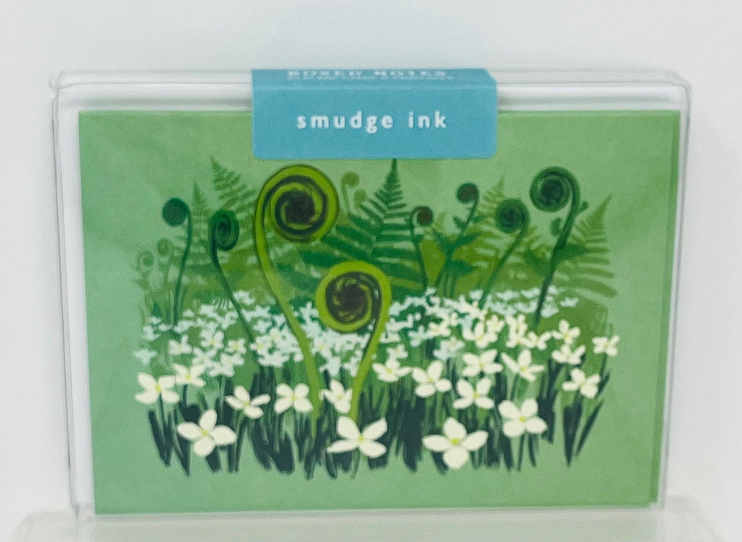 Fiddlehead Fern Boxed Note Cards
